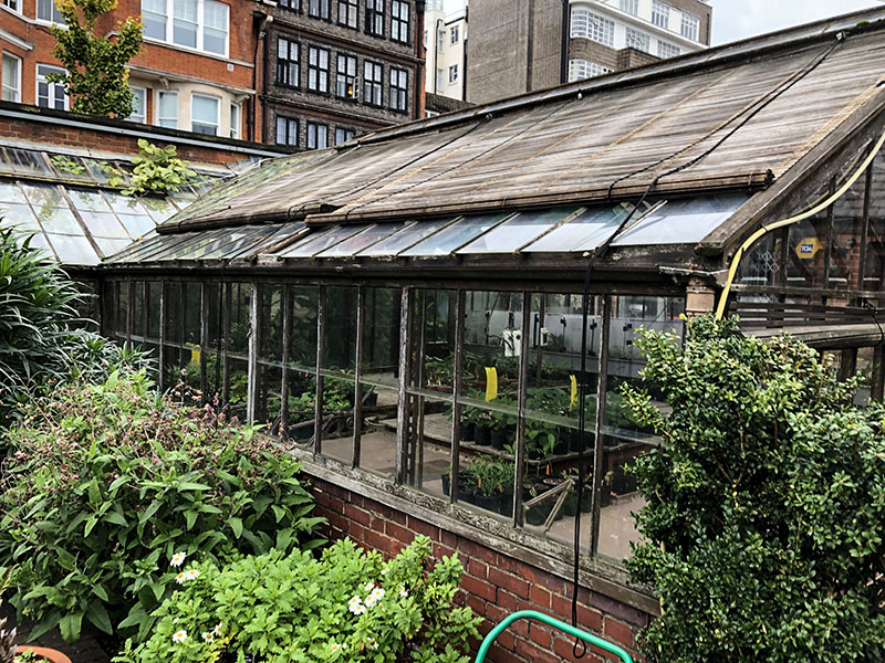 Chelsea Physic Garden. London, United Kingdom. October 20, 2019.