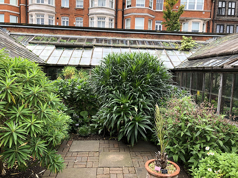 Chelsea Physic Garden. London, United Kingdom.