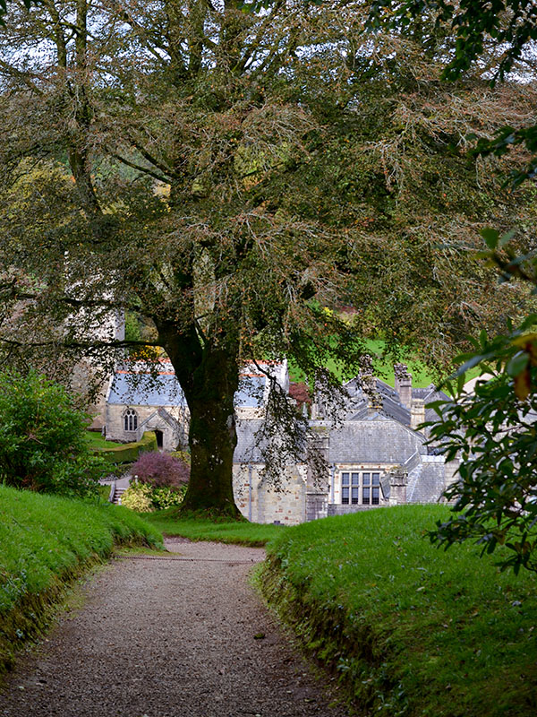 Lanhydrock Gardens, Cornwall, England. Photo fifty-three.