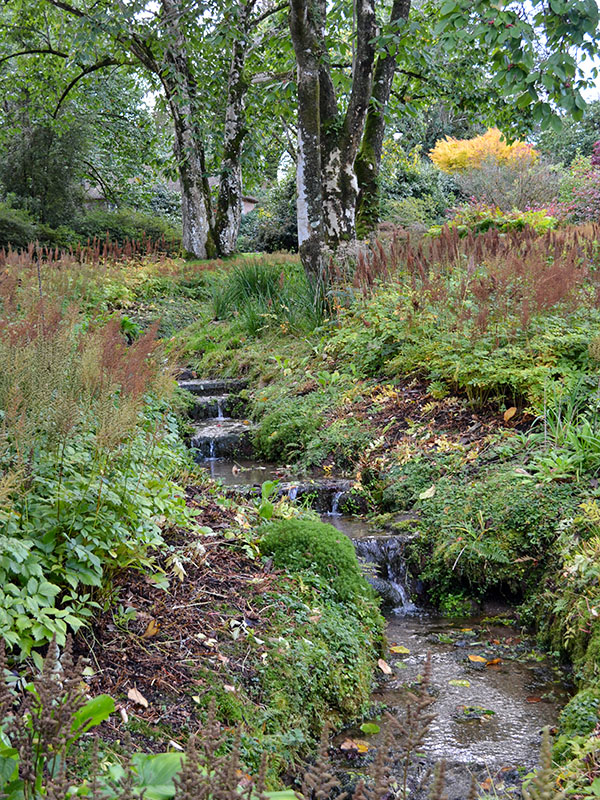 Lanhydrock Gardens, Cornwall, England. Photo three.