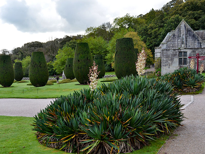 Lanhydrock Gardens, Cornwall, England. Photo eight.