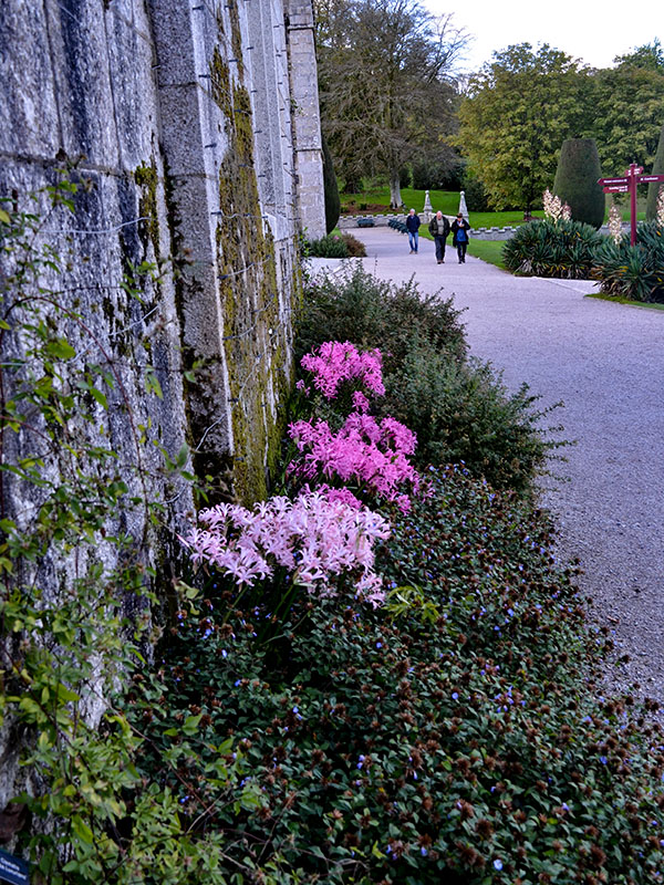 Lanhydrock Gardens, Cornwall, England. Photo thirty.