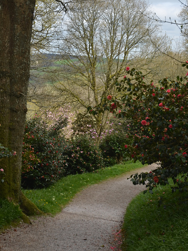 Lanhydrock House and Garden, Bodmin, Cornwall, United Kingdom. 