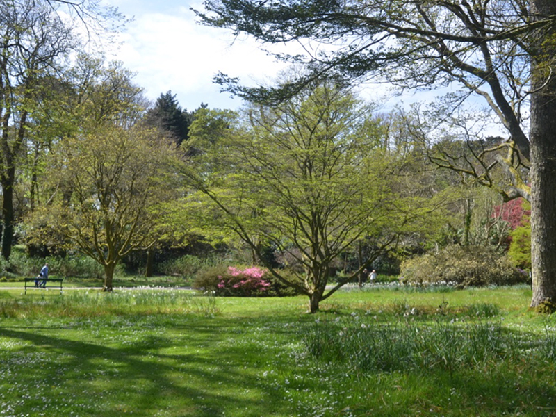 Trengwainton Garden, Madron, near Penzance, Cornwall, United Kingdom. 