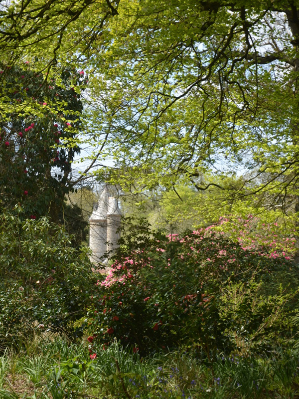 National Trust Trelissick Garden