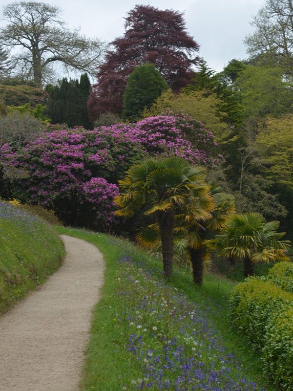 Glendurgan Gardens, Falmouth, Cornwall, United Kingdom. 